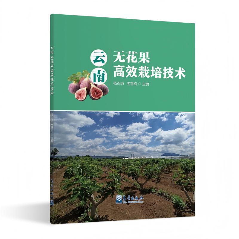 云南无花果高效栽培技术